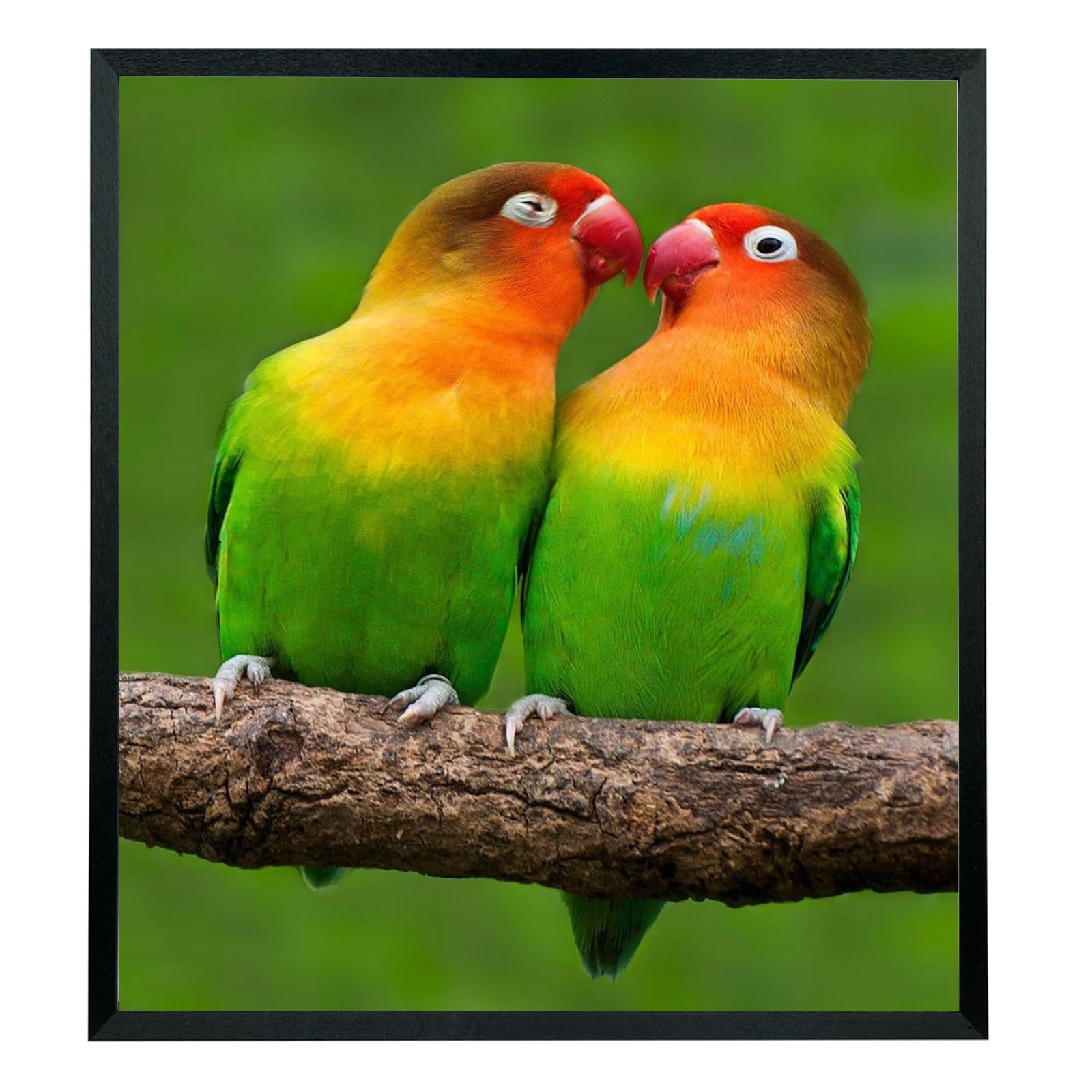 Mxtallup 21x24 Picture Frames Solid Wood 21x24 Poster Frame for Wall 21x24 Photo Frames Family Black (T22B2124)