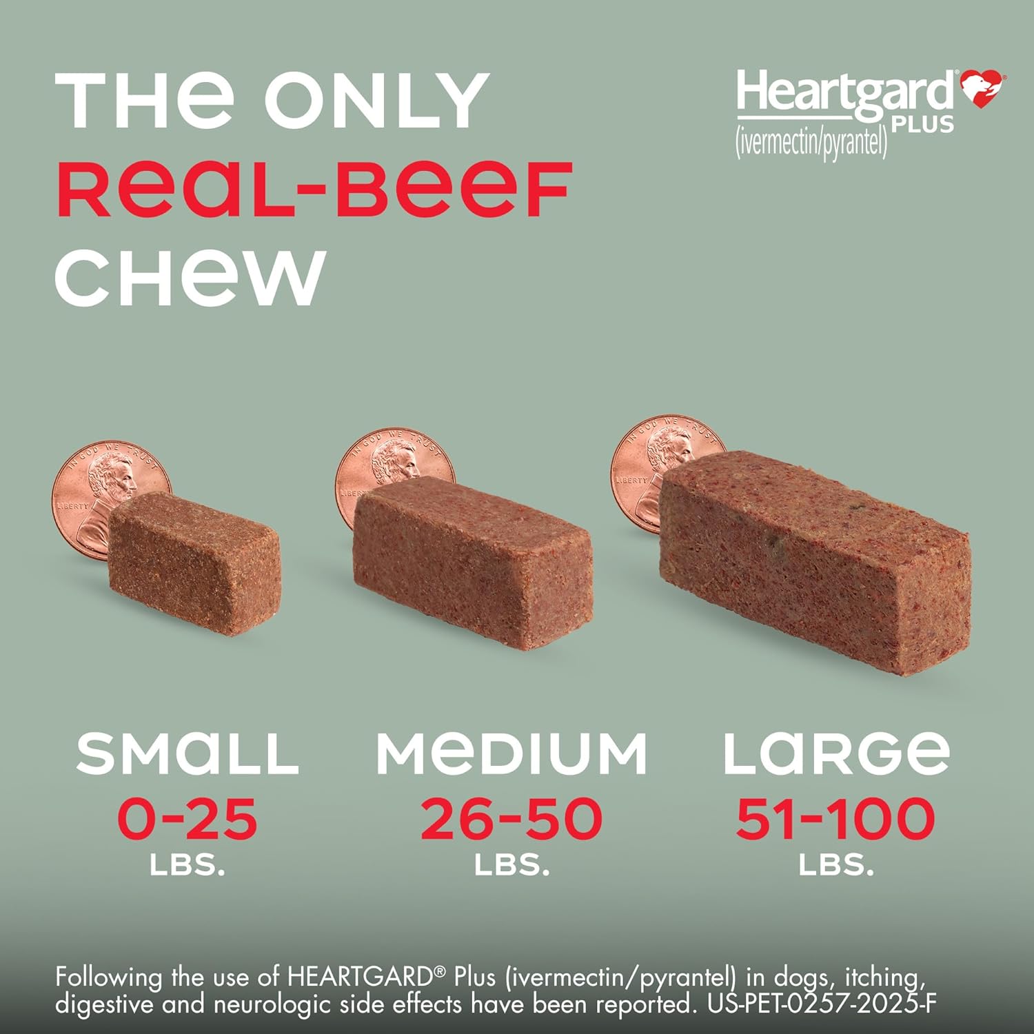 HEARTGARD® Plus (ivermectin/pyrantel) Real-Beef Chewables for Dogs up to 25 lbs (Blue Box) 6 Month Supply of Chews (Heartworm Disease Preventive)