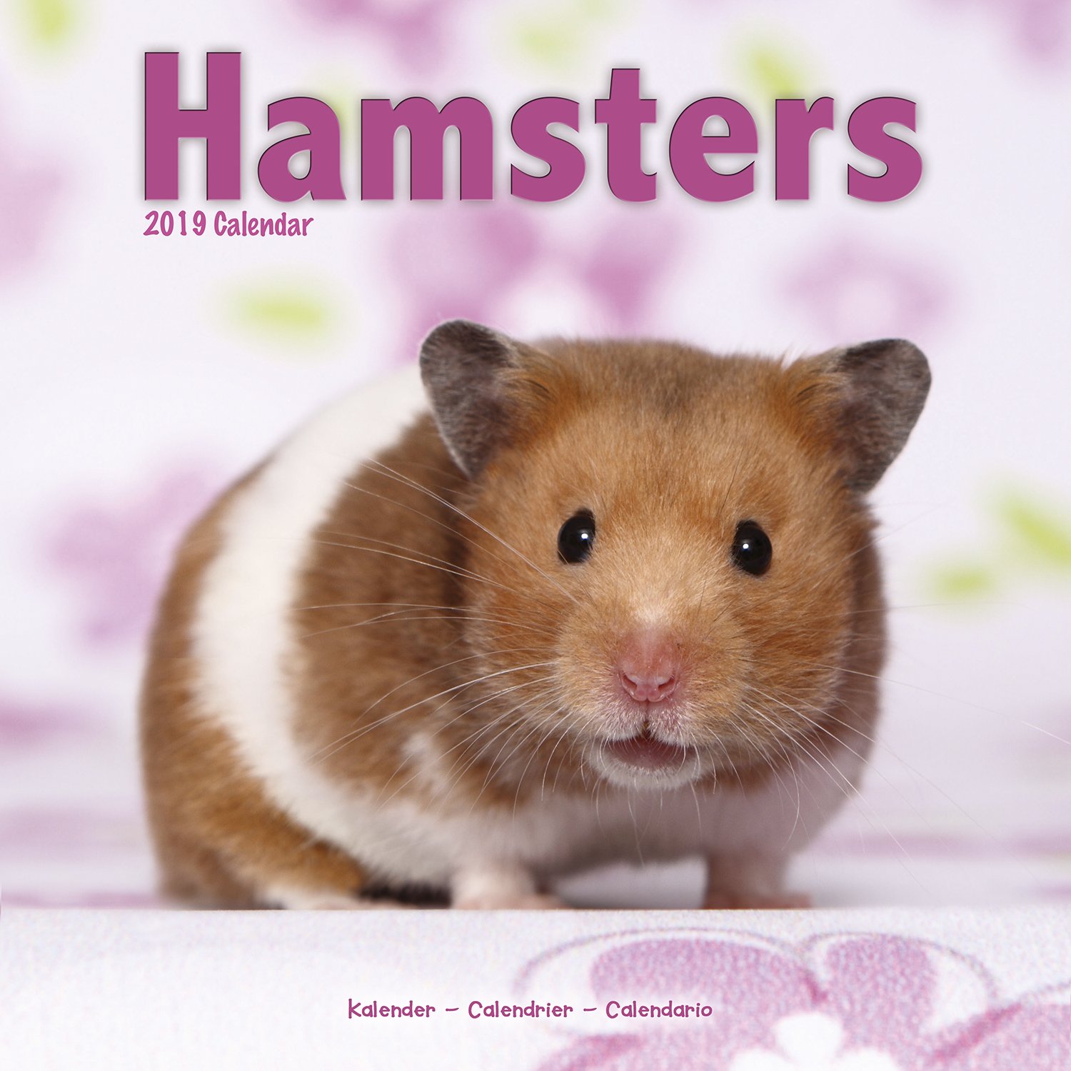 Hamster Calendar Cute Animal Calendar Calendars 2018 2019 Wall