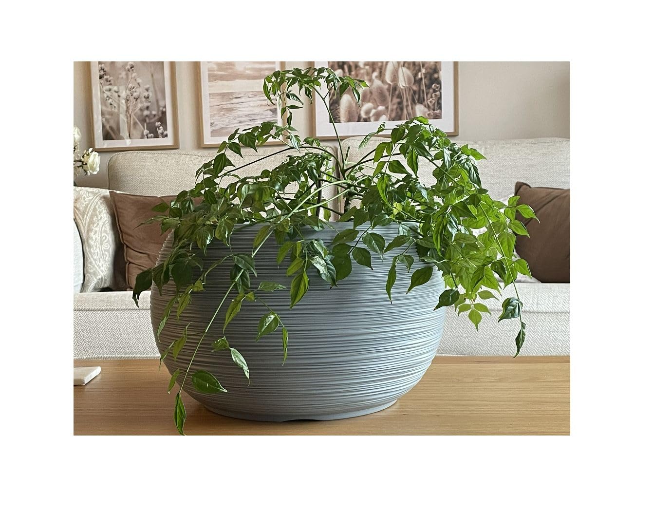 Gardening Naturally Fora Flowerpots, Stylish and Durable Plant Pots for Indoor and Outdoor Use (Fora Bowl 40cm - Grey)
