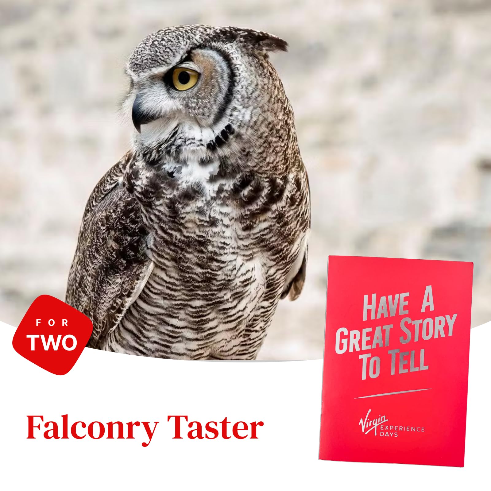 Sponsored Ad – Falconry Taster for Two - 9 Locations across the UK - See up close and handle these incredible birds of prey in a phenomenal 3-hour experience