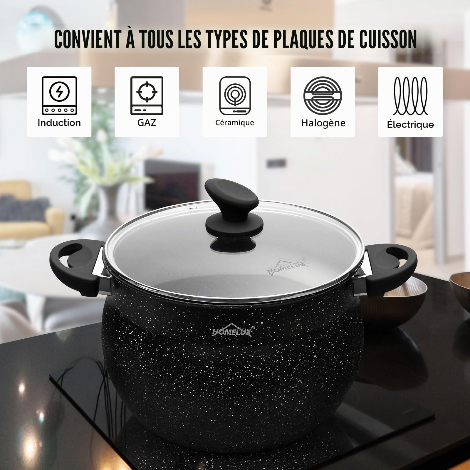 HOMELUX faitout induction-Fonte d'Aluminium marmite induction-Marmite tous feux avec couvercle en verre-Antiadhésif Marmites-Capacité 12.5L faitouts-Fait tout tous feux-Tous les types de cuisinières