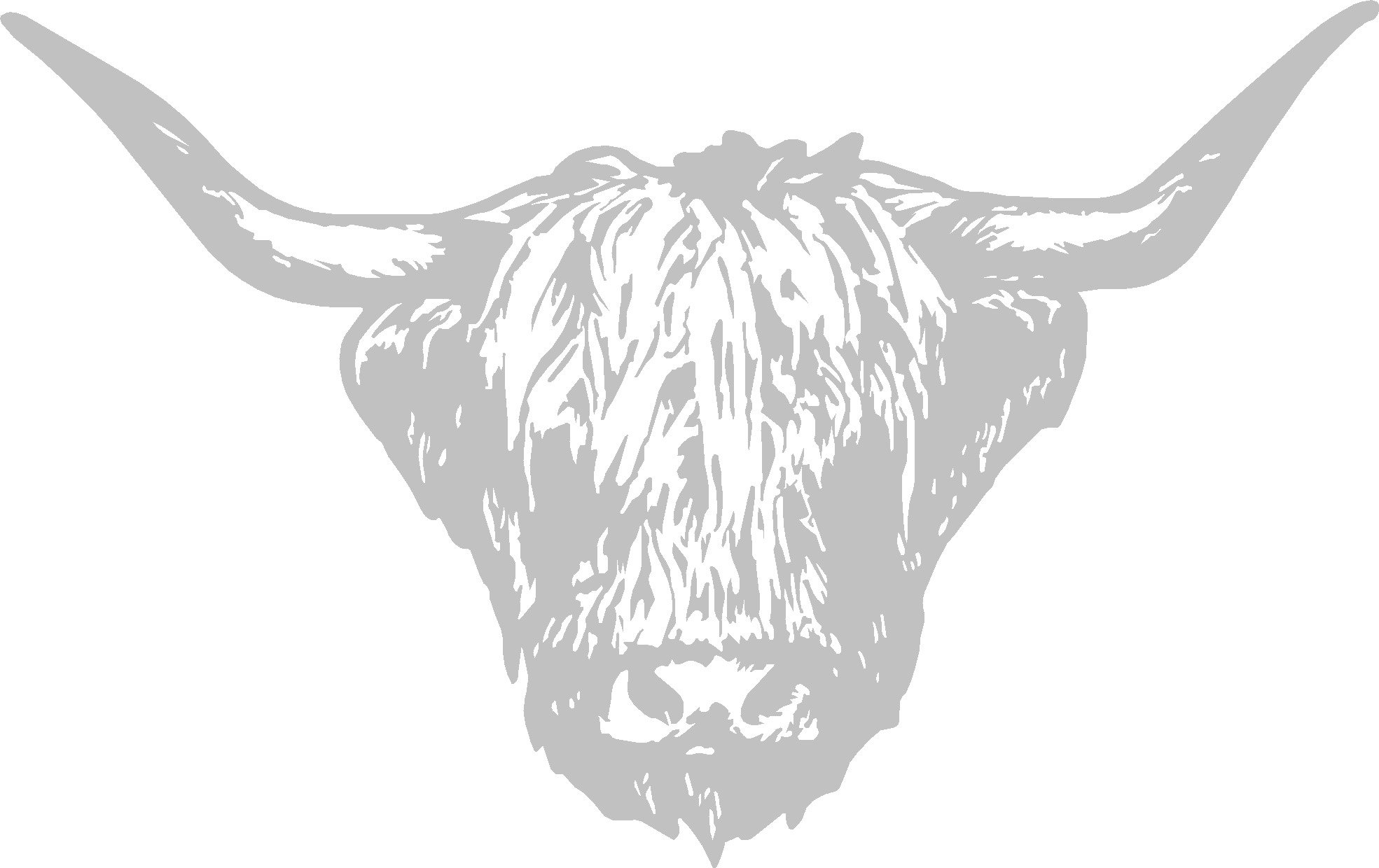 Lightningsigns Grey Highland Bulls Cow Head Vinyl Car Van Camper Truck Wagon Sticker,Decal (, Large)