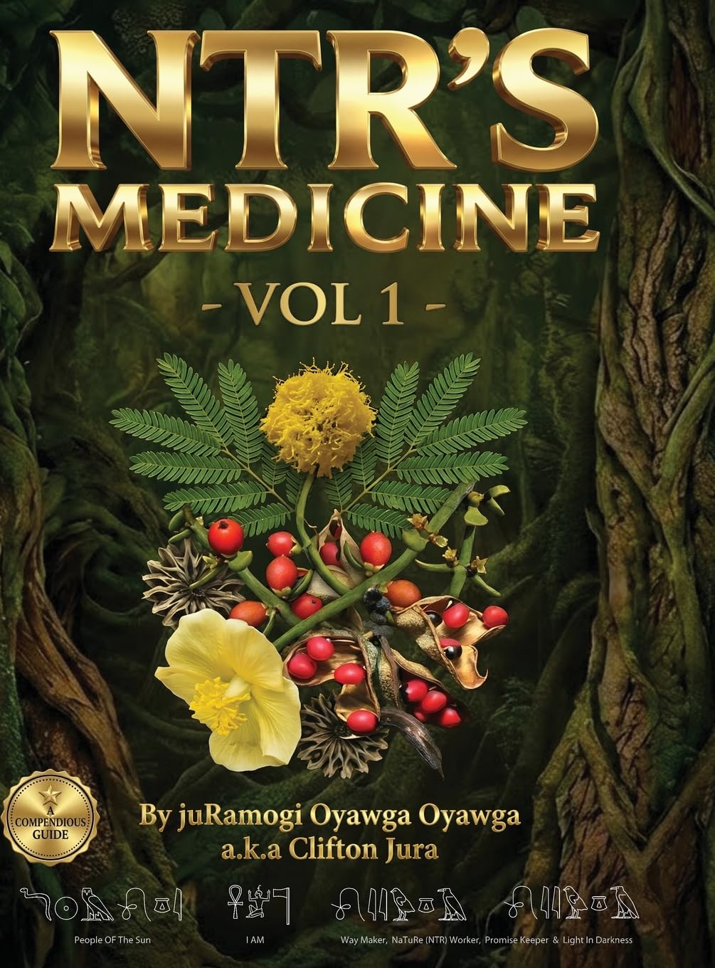 NTR's Medicine: Botanical Indigenous Knowledge - Herbal & Traditional Medicine Compendious Guide - Vol 1