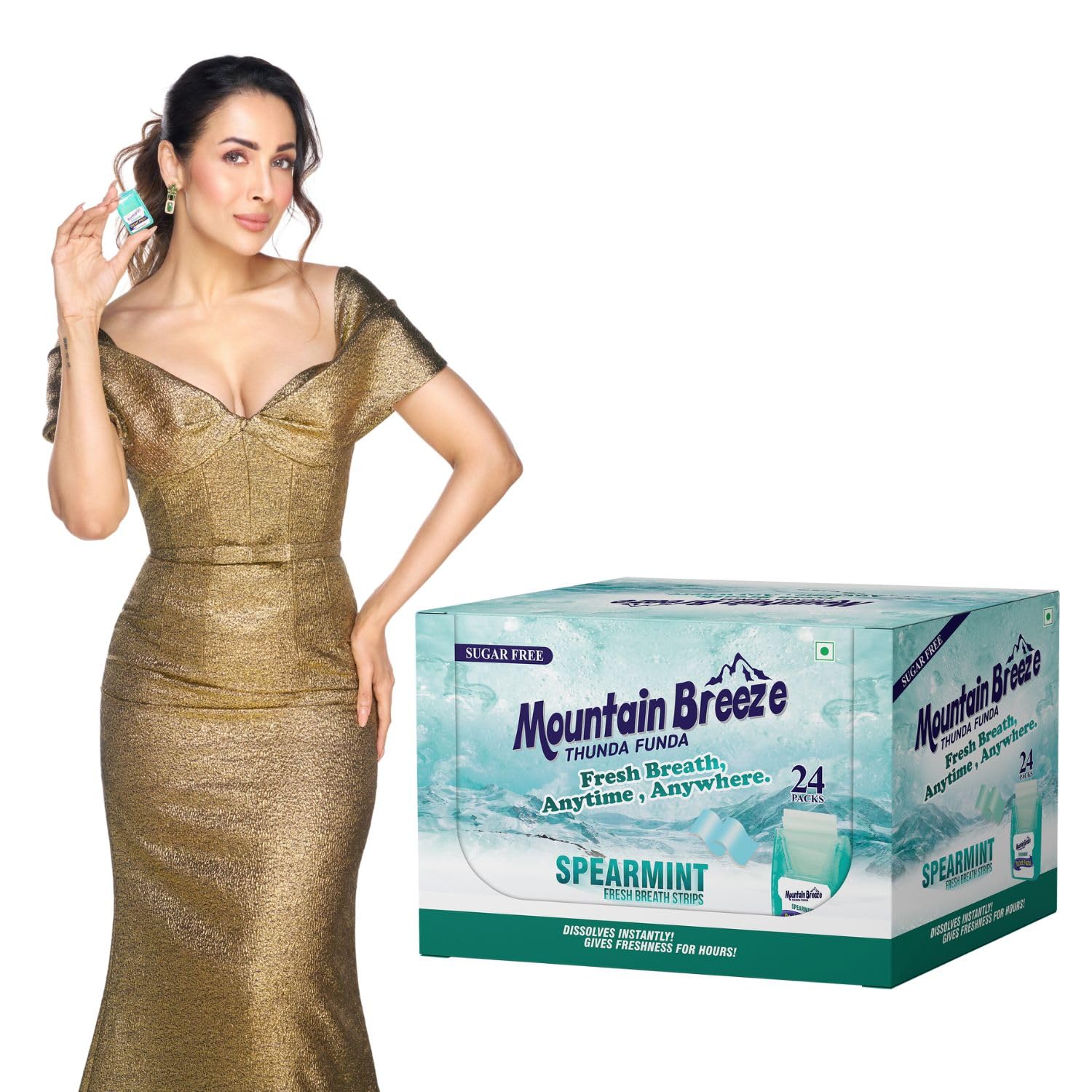 Mountain Breeze Oral Hygiene Mouth Freshener Sugar Free SpearMint Flavoured Breath Strips (24 Strips each Cassatte)-Pack of 1(24 Cassette).