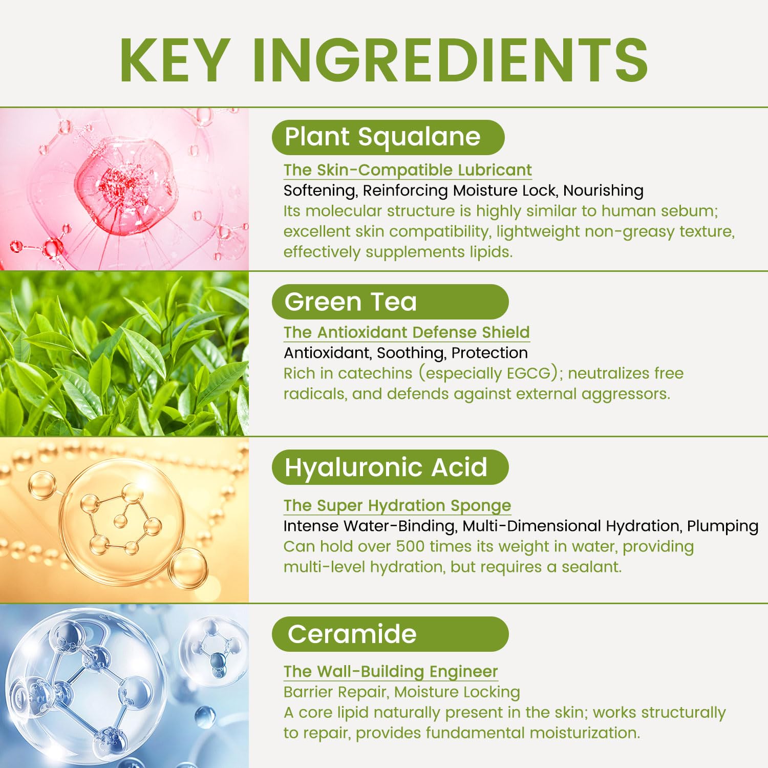 AOAO Green Tea Moisturizer Cream, Daily Hydrating Face Cream for Dry & Sensitive Skin, Hyaluronic Acid for Women Face, Repairs Skin Barrier, Provides Antioxidant Protection, 130g/4.58oz (Green Tea_2) - Image 4