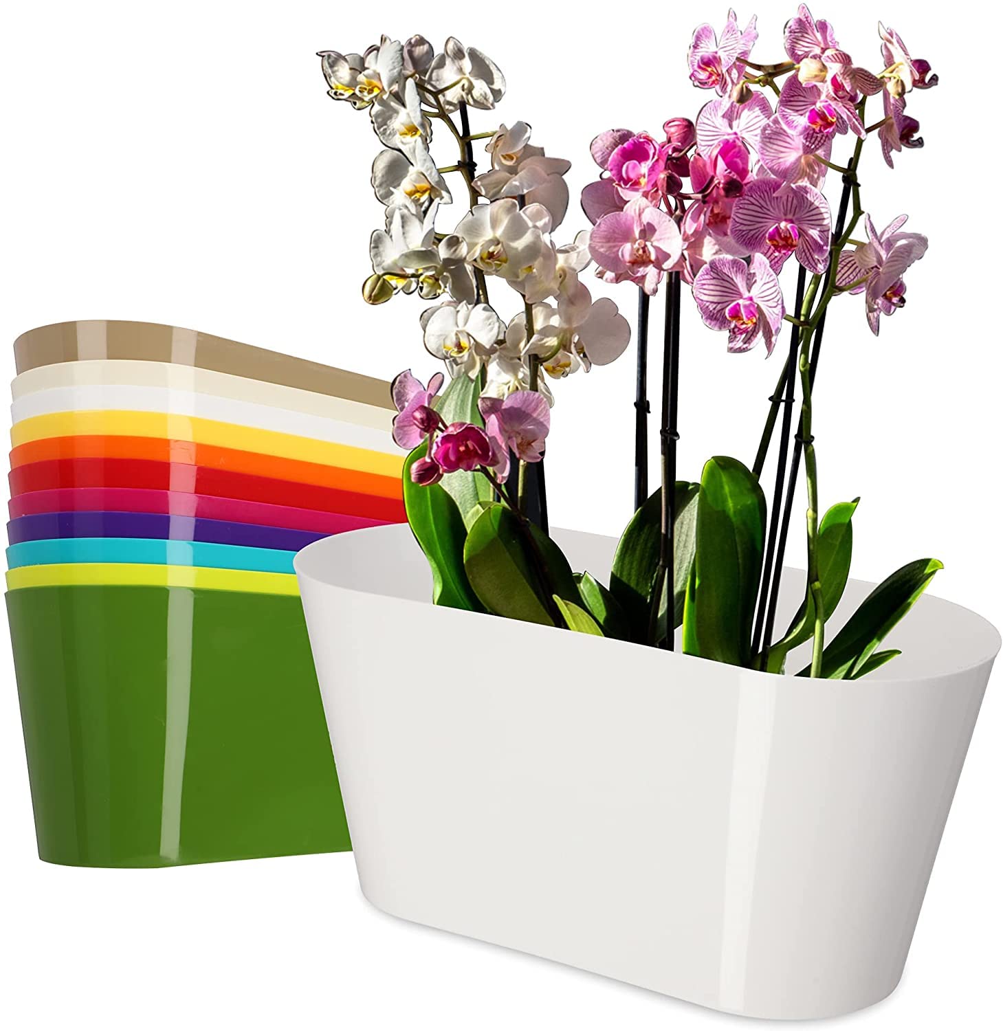 B2C Plant Flower Pot Plastic 11 Colours 27 x 13cm Gloss Oval Planter Saucer Tray (White)