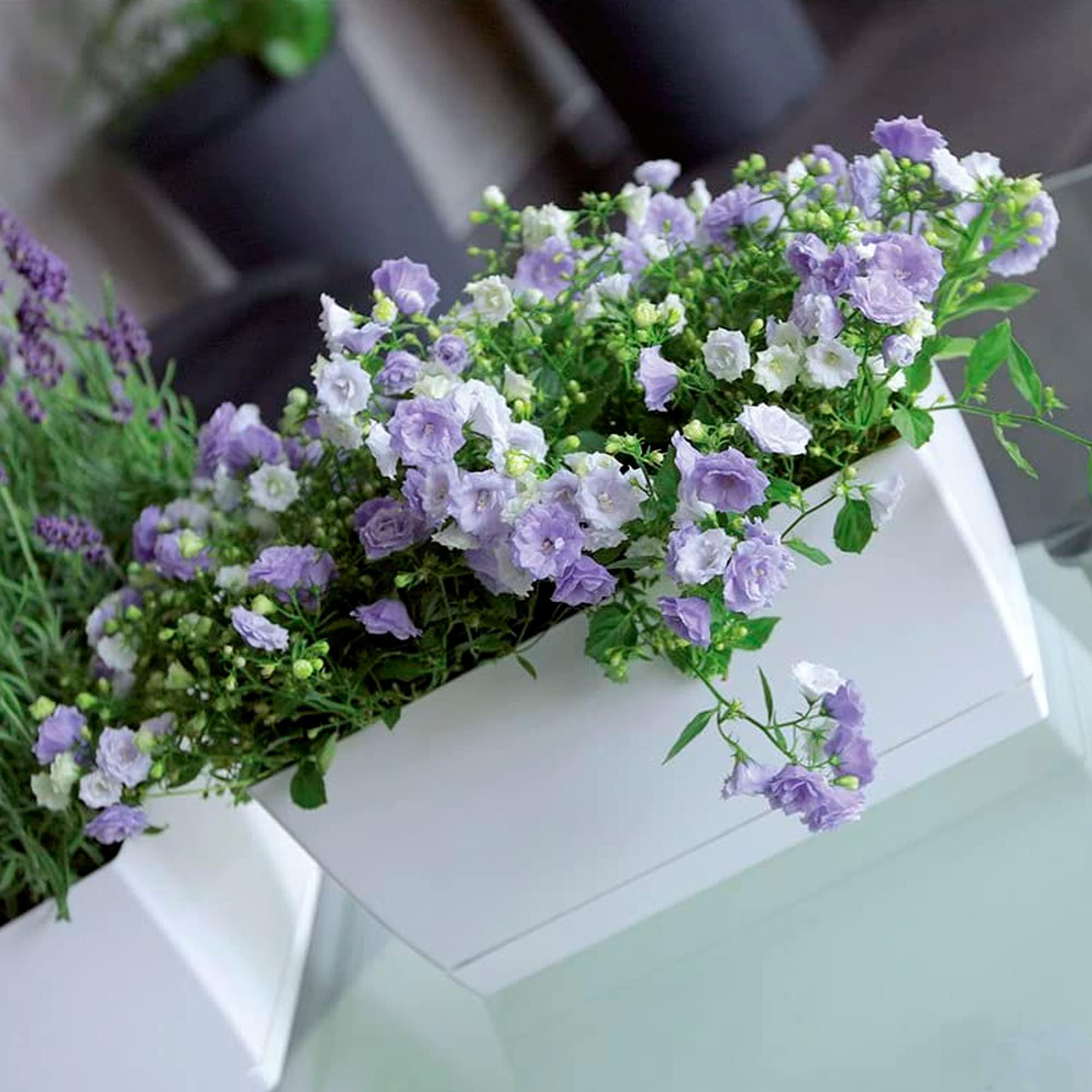 Prosper Plast duop210 – 426U 21 X 19,3 CM " Coubi " Pot de Fleurs – Gris Foncé - Jardin
