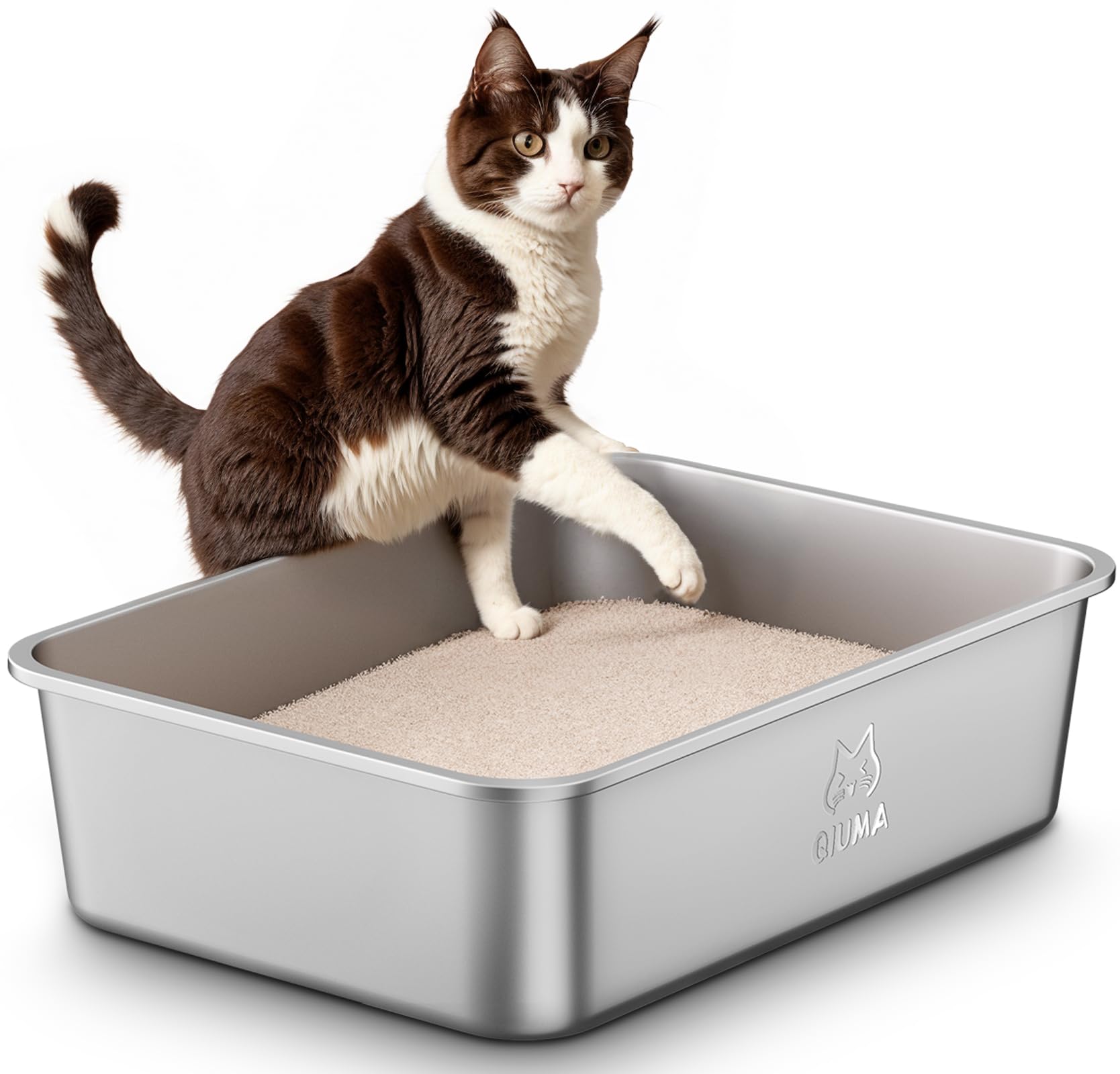 Stainless Steel Litter Box with Handle, Large Metal Cat Litter Box with High Sided for Big and Small Cats, Kitty Litter Box, Non-Stick, Easy to Clean, Odor-Free, Cat Toilet?Litterbox