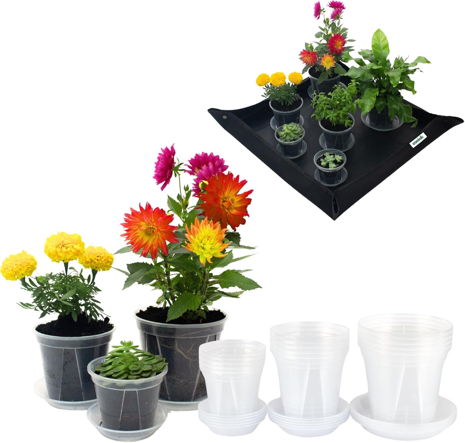 15 Pack Nursery Pots - 3.9/4.7/5.4 Inch Clear Plant Pots with Drainage and Trays
