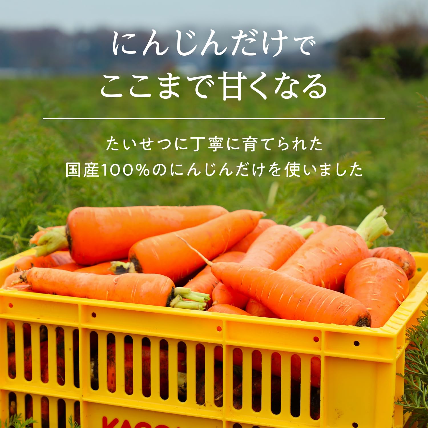 Amazon.co.jp: 【期間限定】カゴメ にんじんジュースプレミアム720ml