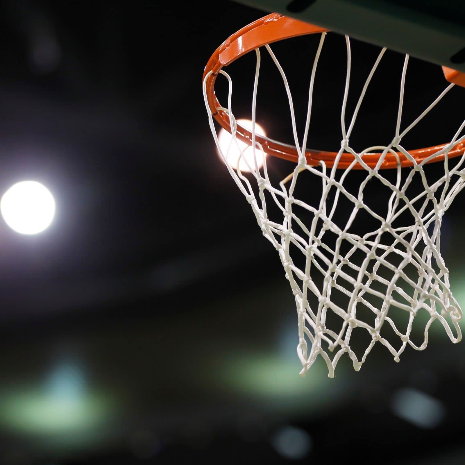 Wip Sport - Canestro da Basket Regolamentare Reclinabile con Anello in Tondo Pieno, Protezione Antifortunistica Brevettata, Sistema di Sgancio con Molle e Cordino per Attacco Rete, 45 cm di diametro