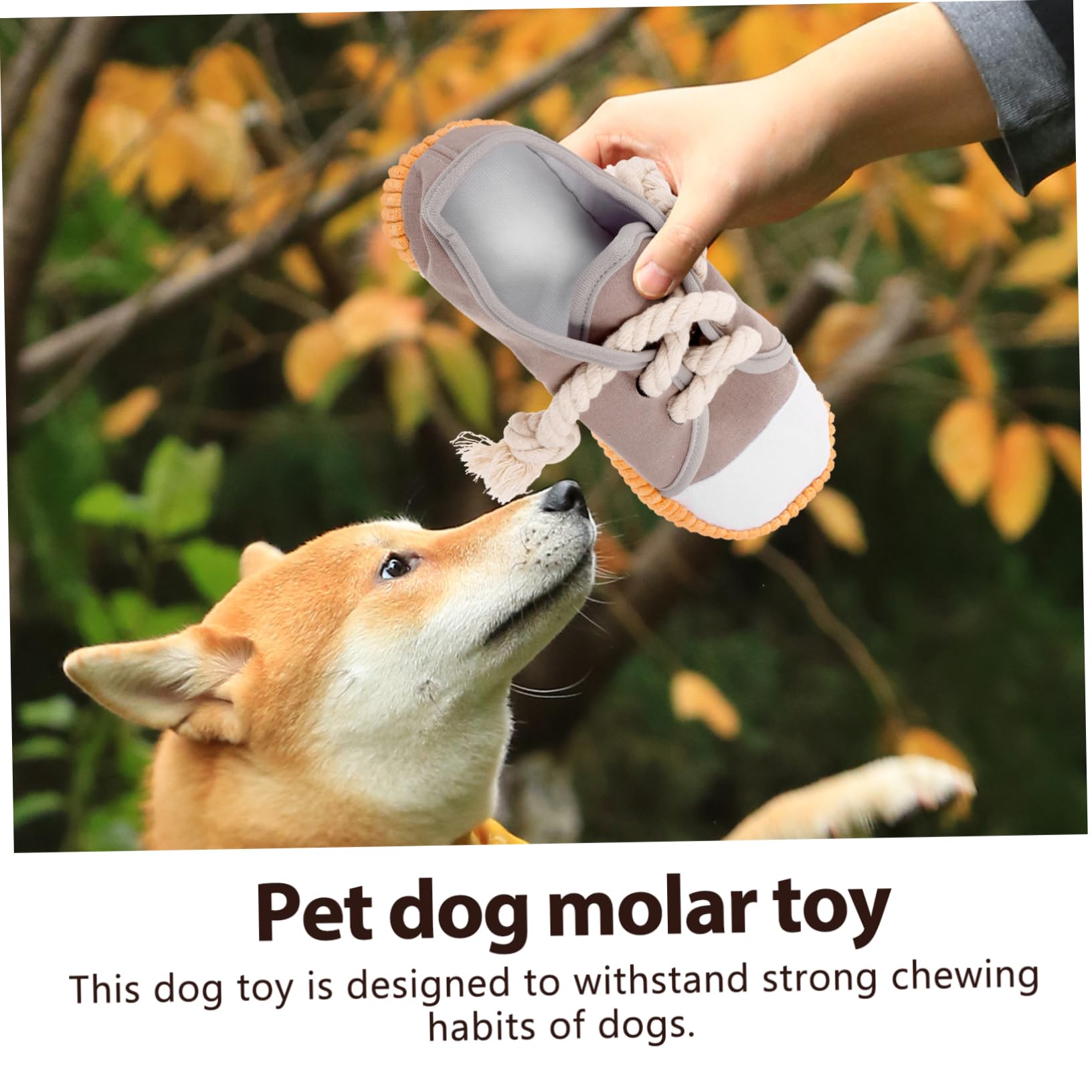 SUPVOX 4piezas Juguete De Masticación para Perros Juguete Chirriante Forma De Zapato para Perros Material Resistente y Seguro para Limpiar Dientes y