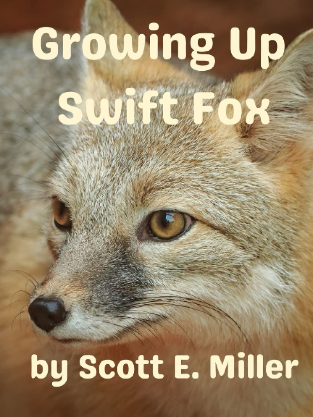 Growing Up Swift Fox