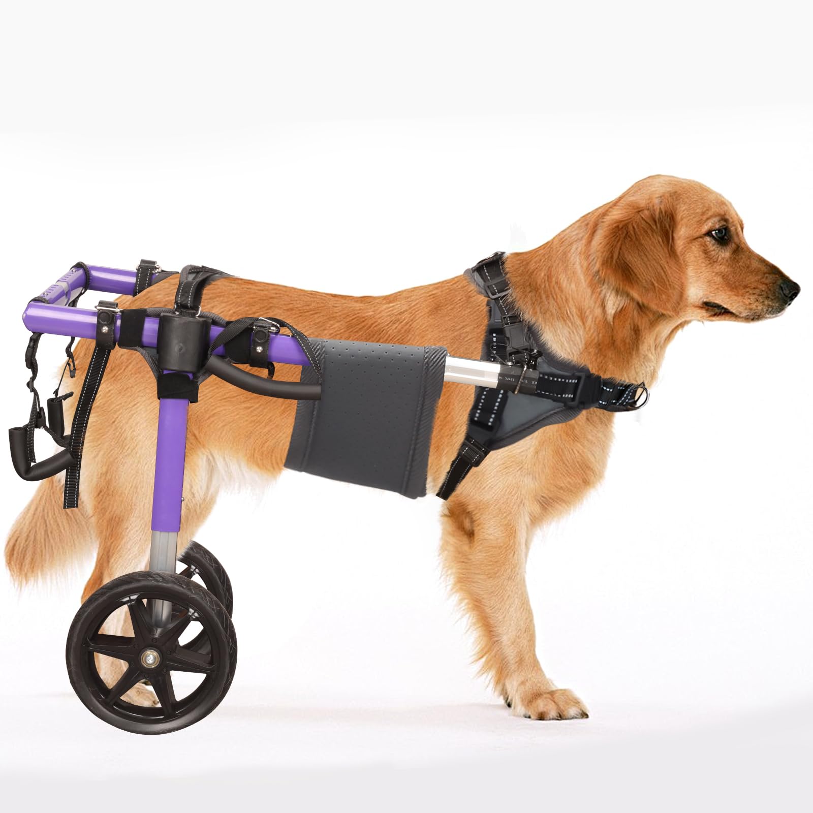 Fauteuil roulant pour chien grand modèle L avec pneus tout-terrain confort