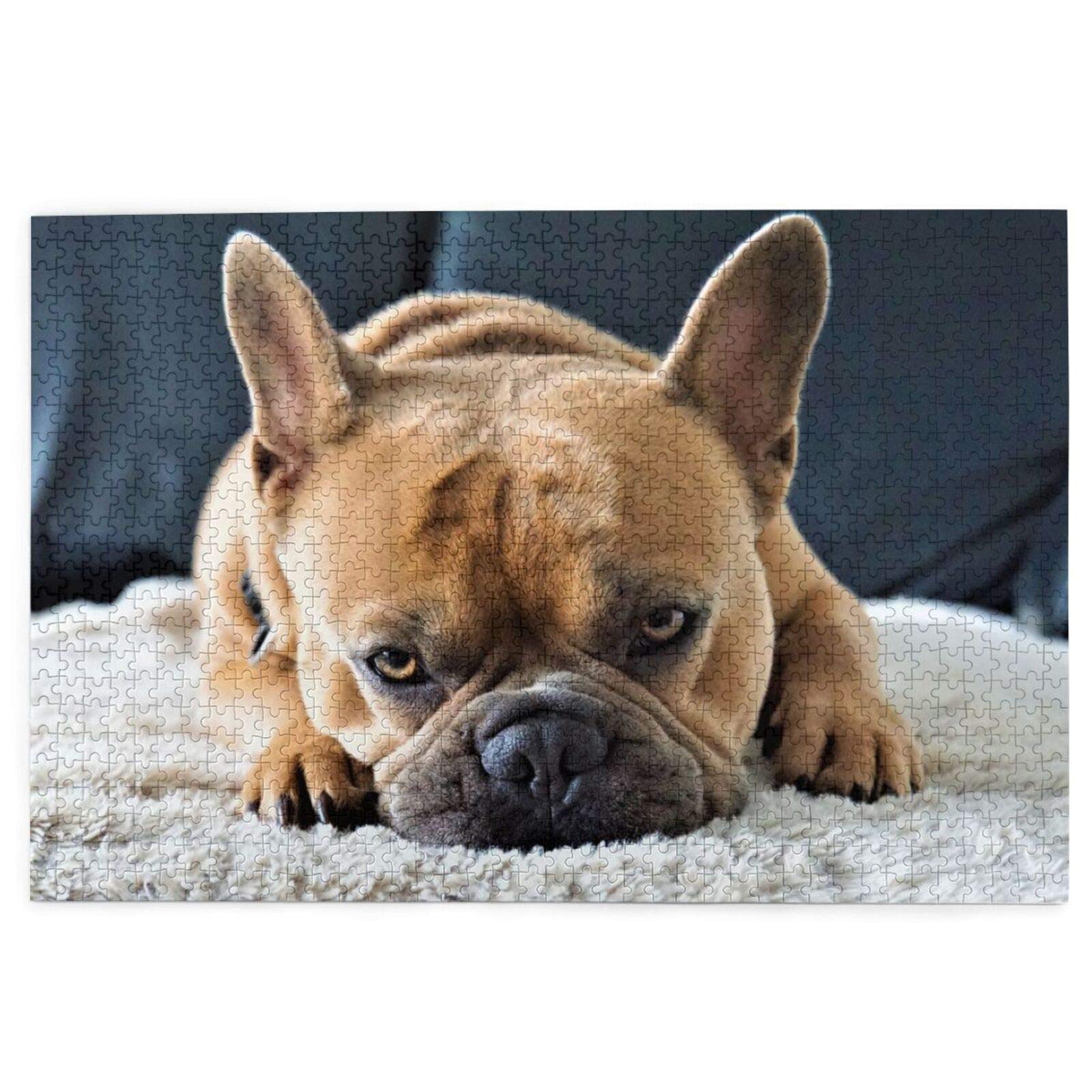 Jigsaw Puzzles 1000 Pieces French BullDogs mall Dogs Pets Puppies Jigsaw Toy Family Game Wall Decor for Adults Teens 38x52CM