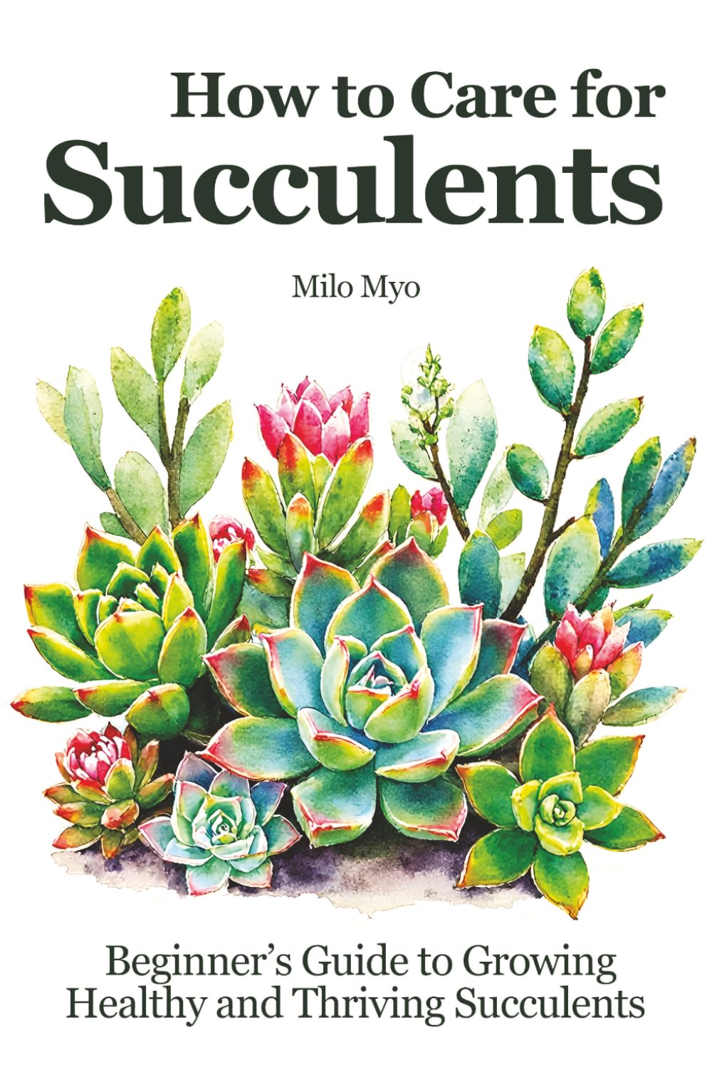 How to Care for Succulents: Beginner's Guide to Growing Healthy and Thriving Succulents