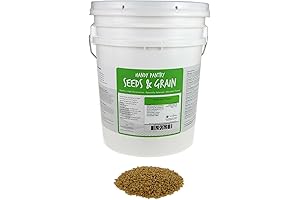 Handy Pantry Organic Unhulled Barley Grain: 30 Lbs Whole Hulled Seeds for...