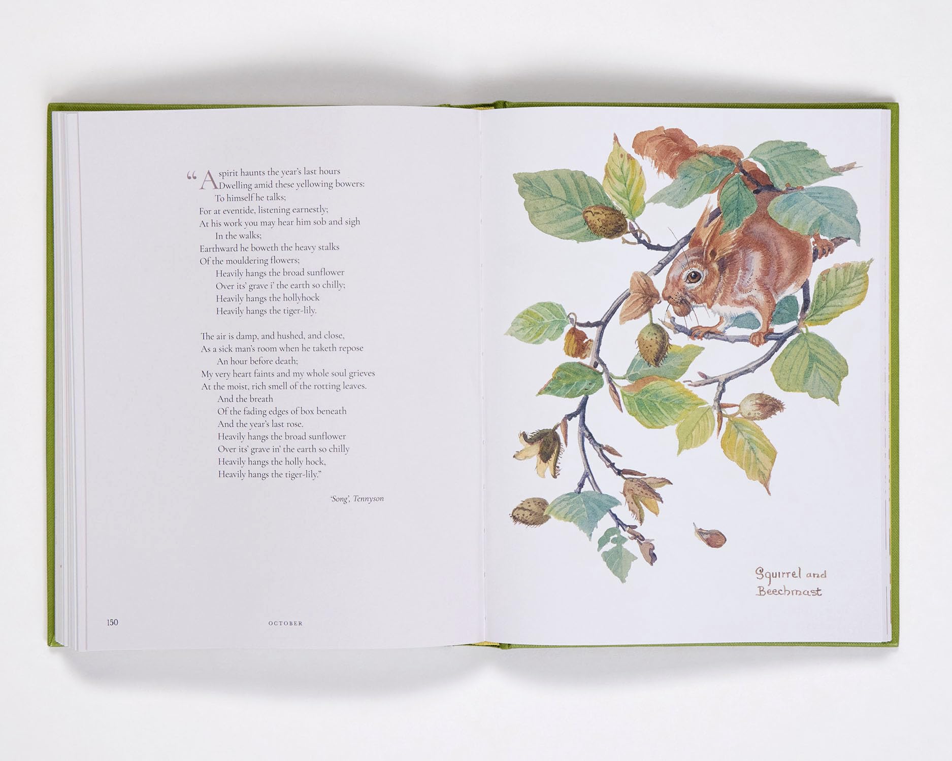 Nature Notes of an Edwardian Lady