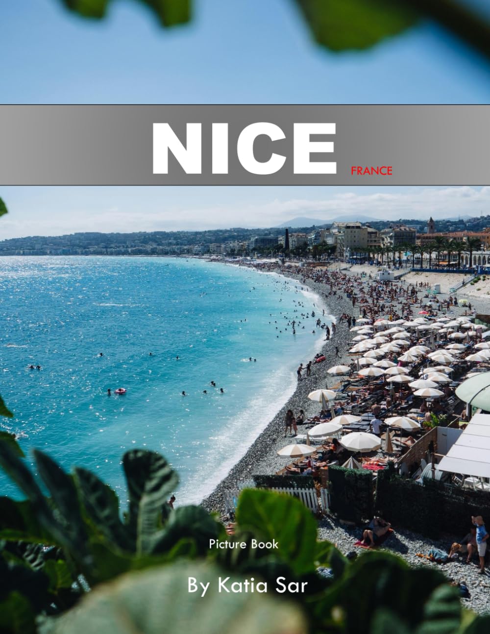 Nice: A Perfect Coffee Table Picture Book - Travel and Tourism lovers.