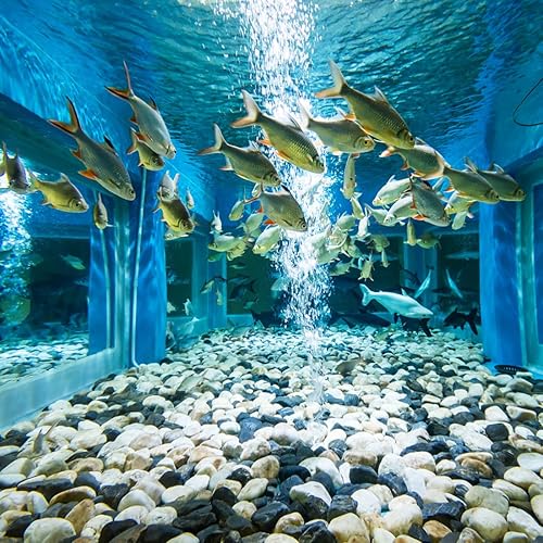 Miniatura 4 de YISZM Rocas naturales de río de 2 libras, grava de acuario de 14 de pulgada, grava de cactus suculenta para plantas, pecera, guijarros decorativos