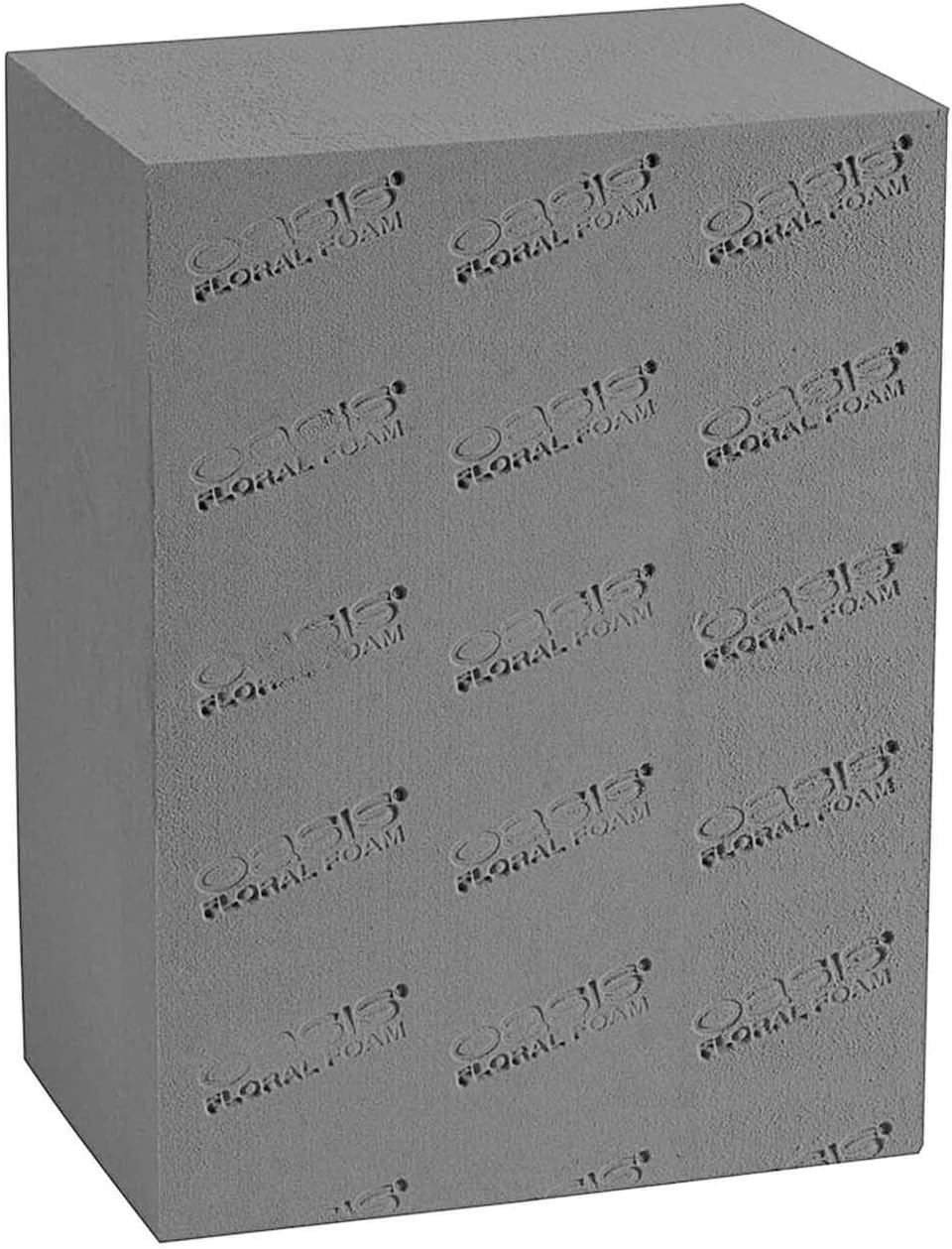 Oasis Dry Floral Foam Bricks for Decorative Arrangement
