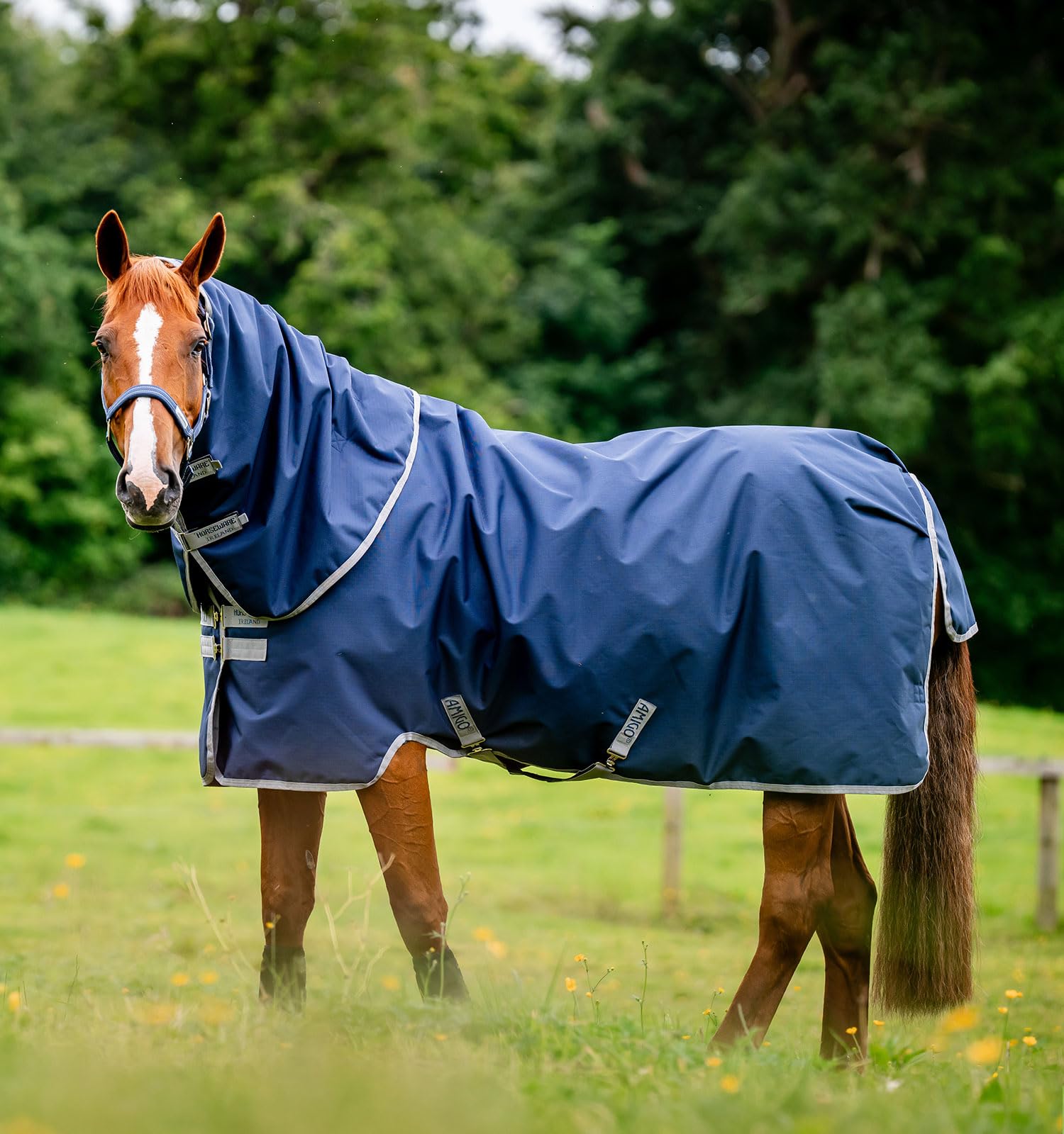 Horseware Deckengröße: 145 cm