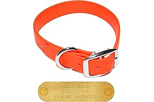 Personalized Biothane Waterproof Dog Collars for Enhanced Comfort