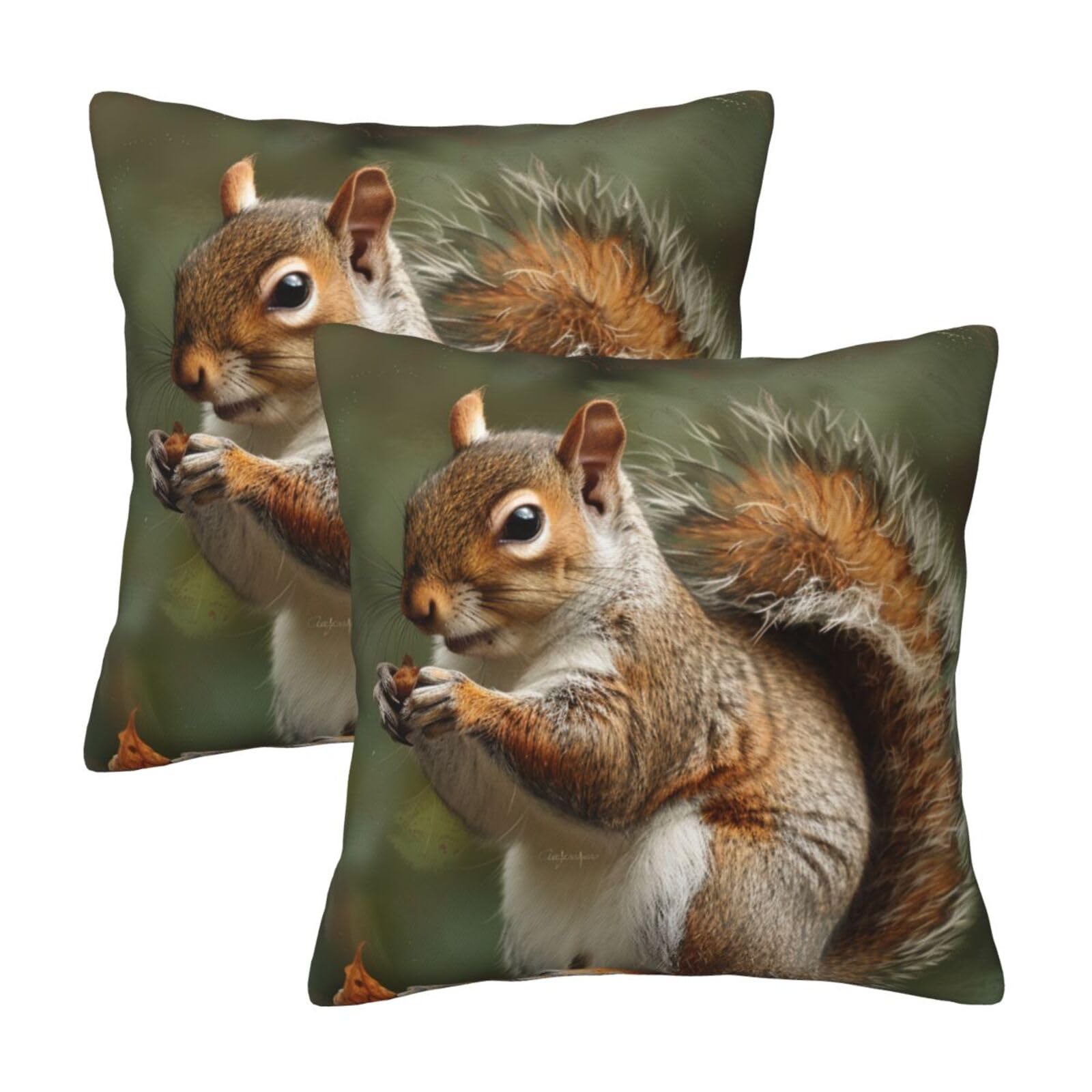 Squirrel Throw Pillow Cases 2 Pack Square Pillowcases Soft Pillow Protectors for Couch Livingroom Sofa Bed Office Car,30x30 CM