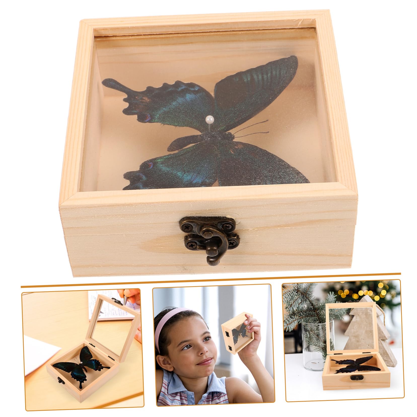 Gatuida 4sets Decorative Esemplari Insetti Espositiva e Collezionismo Per Appassionati e Decorazioni Interne