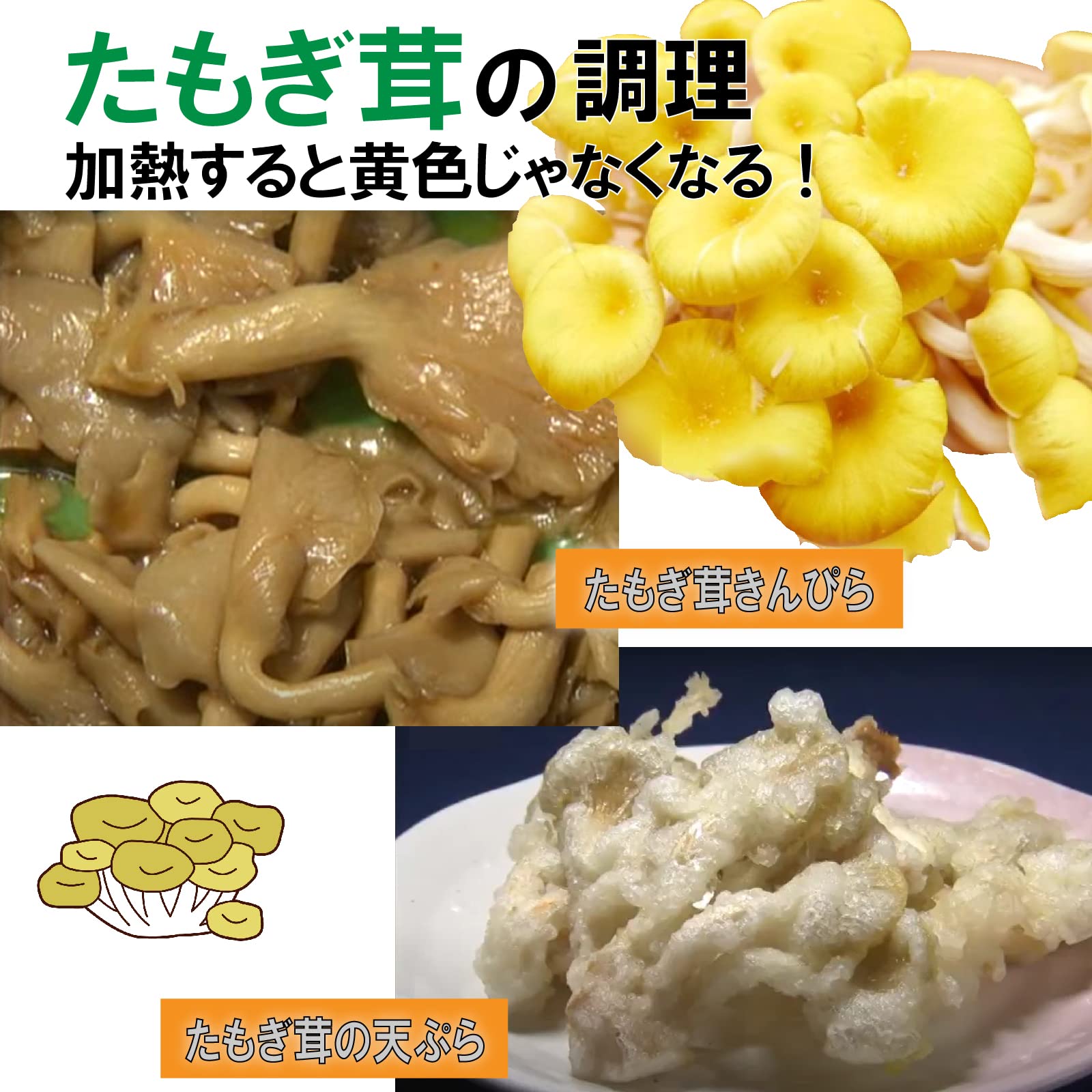 Amazon.co.jp: 幸せの黄色い スーパーきのこ「(生)たもぎ茸」約500g