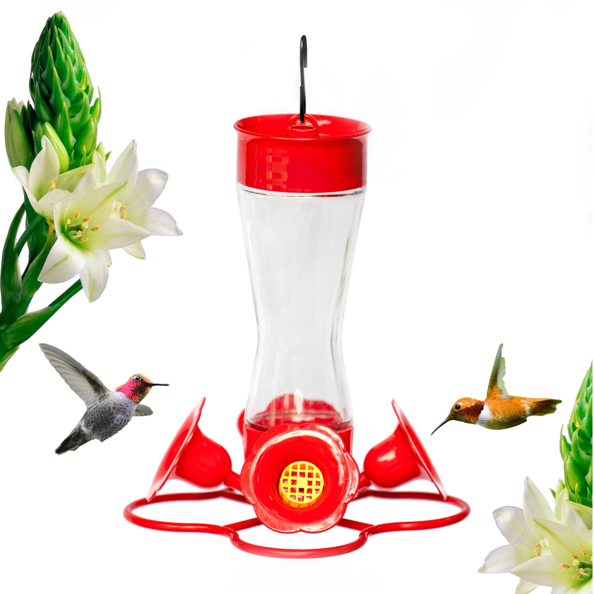 Nature's Rhythm Bird Feeder 4 bee Guard Plastic Feeding Port 8oz Glass Pinch Waist Hummingbird Feeder,1pcs