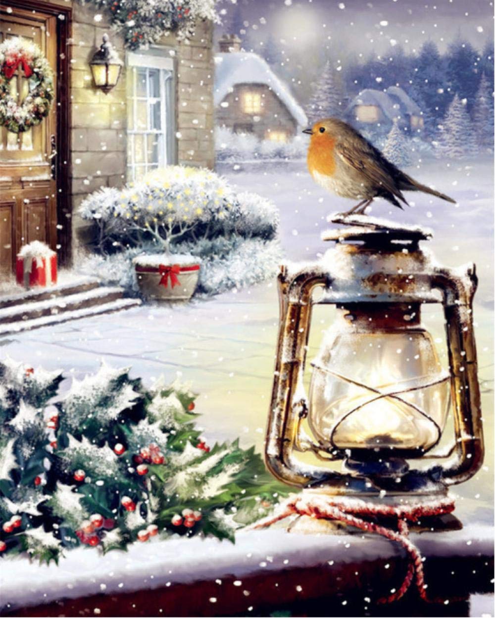 Peinture par numéro oiseaux hiver kit complet anti-stress