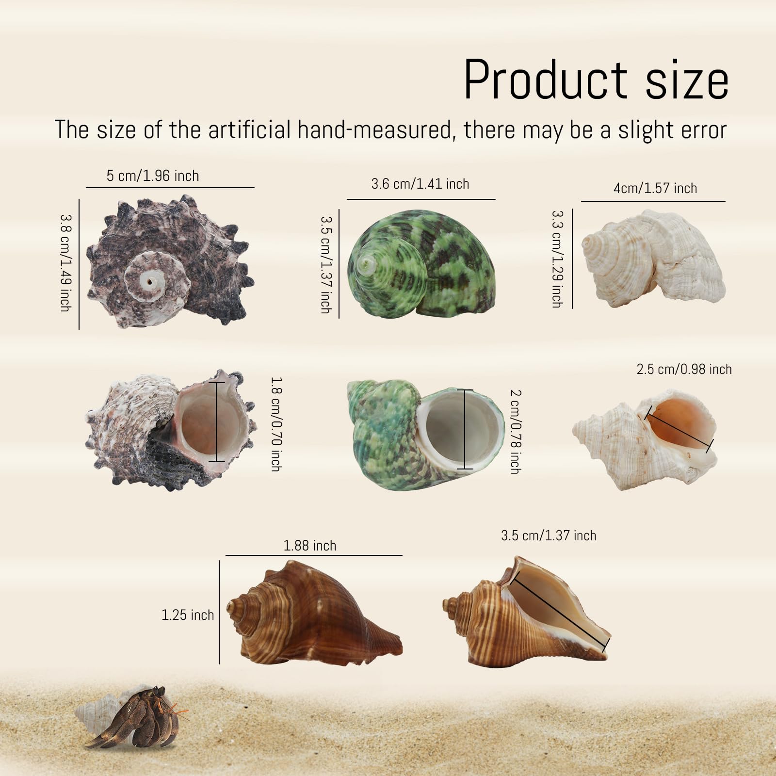 LuckyOpt 4Pcs Hermit Crab Shells, Natural Hermit Crab Shells Medium to Large - Image 2