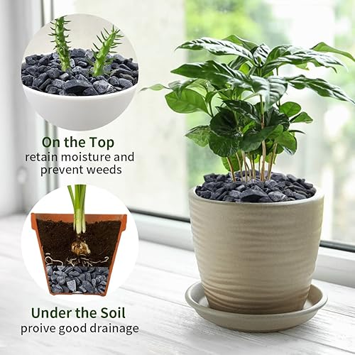 Miniatura 5 de Grava de guisantes negros de 10 libras para paisajismo, guijarros negros de 38 pulgadas para plantas, cactus, suculentas, pecera y jardín, piedras