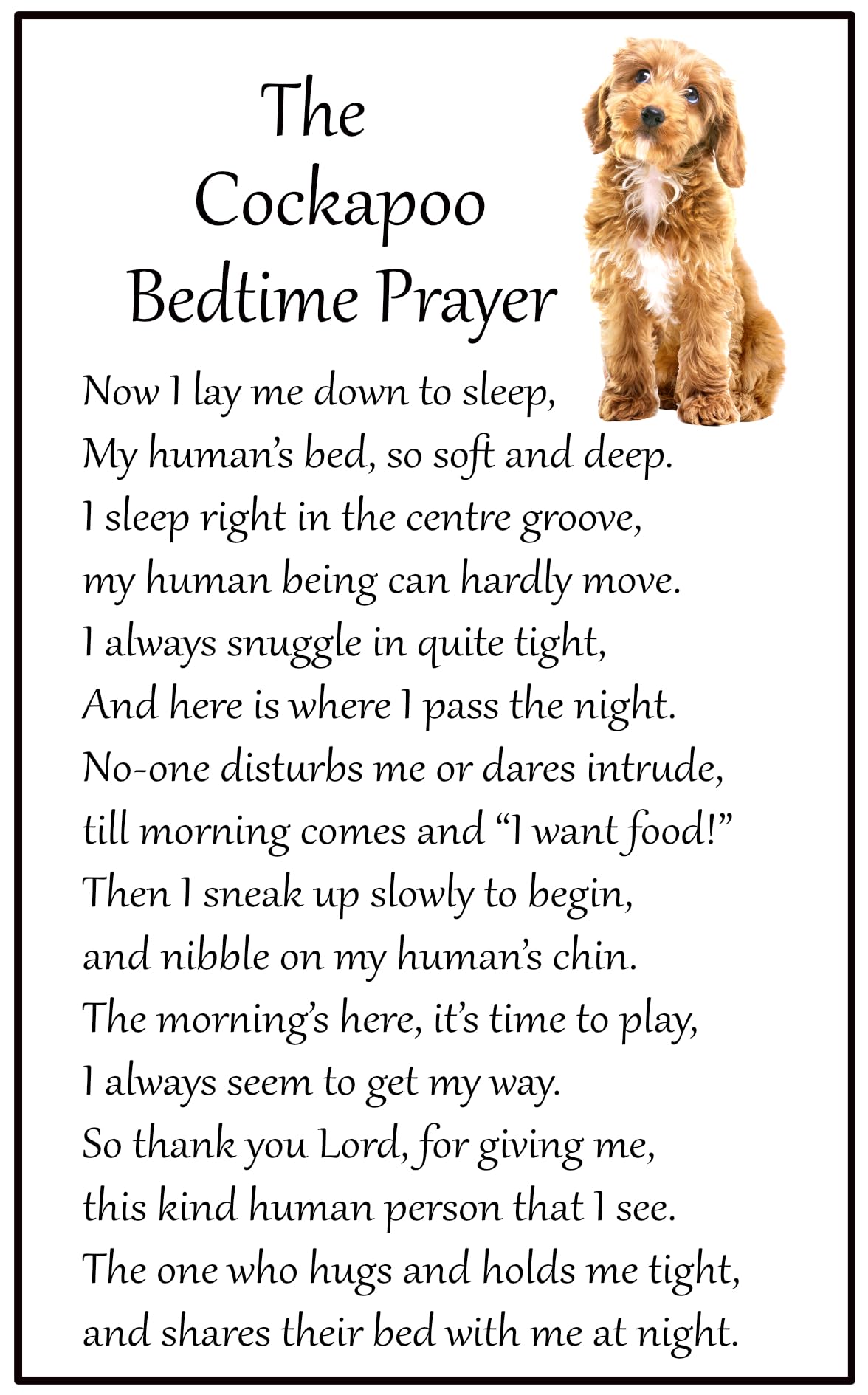 Fridge Magnets White Cockapoo Bedtime Prayer For Dog Lovers - Large Fun Flexible Fridge Magnet- Size 16Cms X 10 Cms (Approx. 6" X4")
