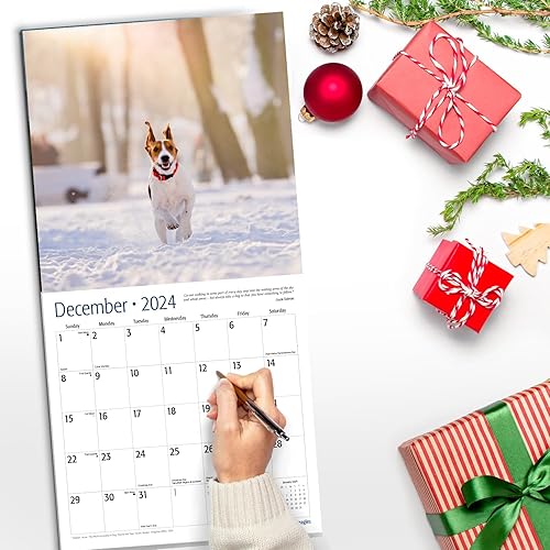 Miniatura 5 de RED EMBER Beagles Calendario mensual de pared colgante 2024  12 x 24 pulgadas abierto  Papel grueso y resistente  Regalo  Lindo perro de caza  It's