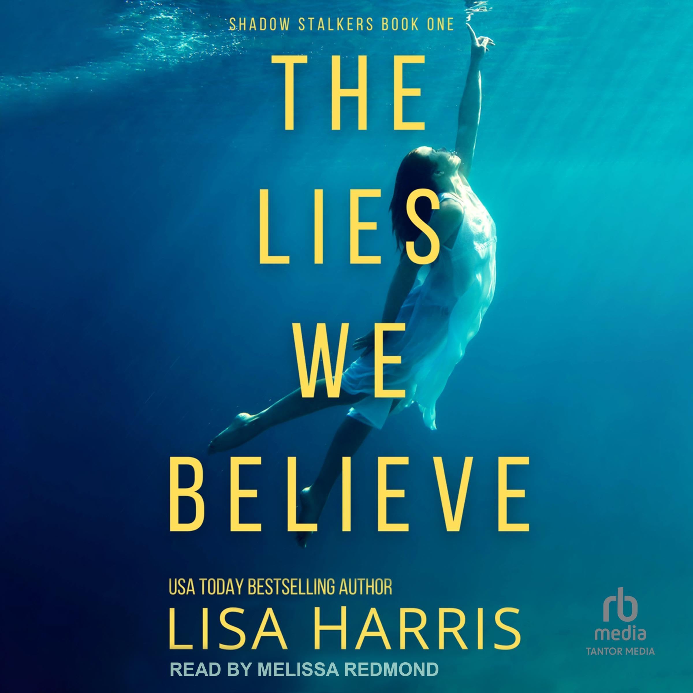 Cover art for The Lies We Believe