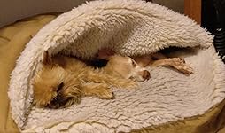 Review Image by sHockz sHockz