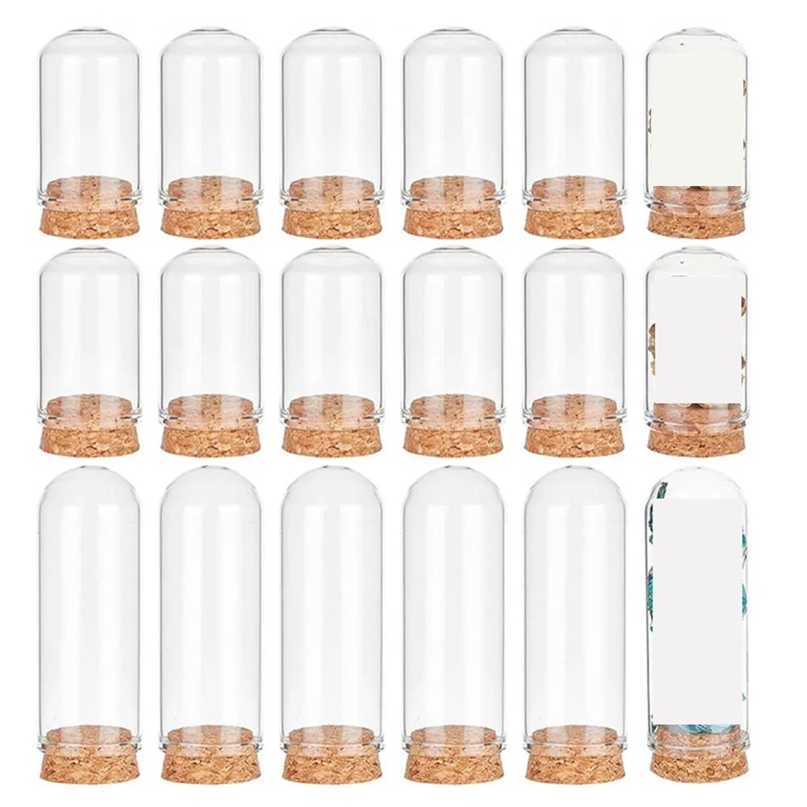 WYQXTY Clear Glass Cloche Display Glass Cloche Dome 18 Pcs 2 Sizes With Cork Base Bell Jar For Display