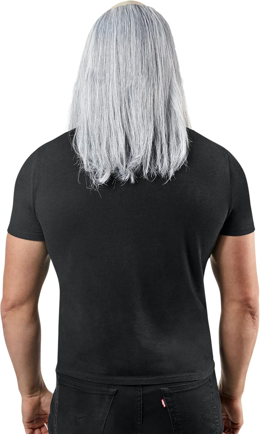Rubies Heroes in History Benjamin Franklin Wig, Glasses for Adults, Men's No Size