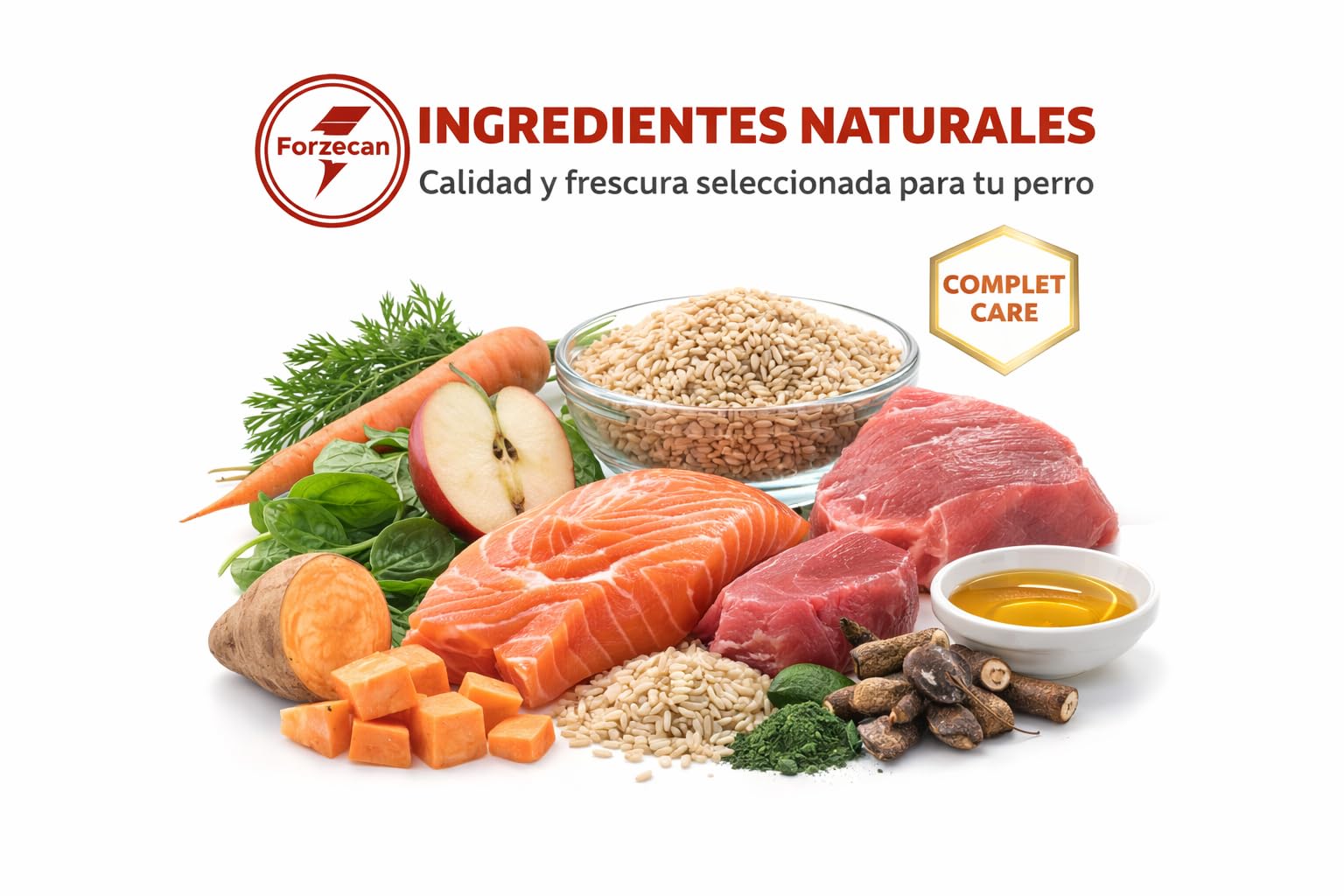 Pienso para Perro Adulto salmón y atún 15 kg con arroz Integral Omega 3 y 6 Alta palatabilidad y energía equilibrada Complet Care