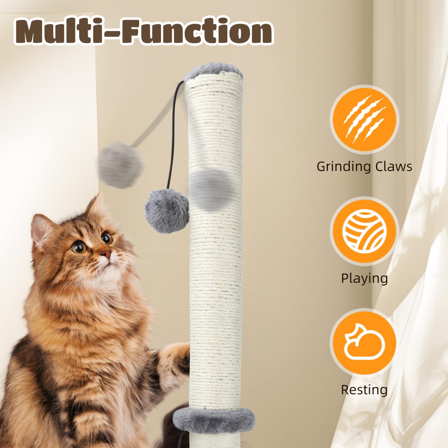 Nobleza Rascador para Gatos, Altura 80 cm, Poste de Rascador para Gatos Medianos y Grandes, Cat Tree con Bola de Juguete Colgante y Pompón de Muelle (Gris)