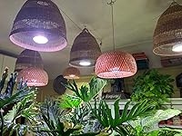 Review Image by Antonio Limuaco Antonio Limuaco