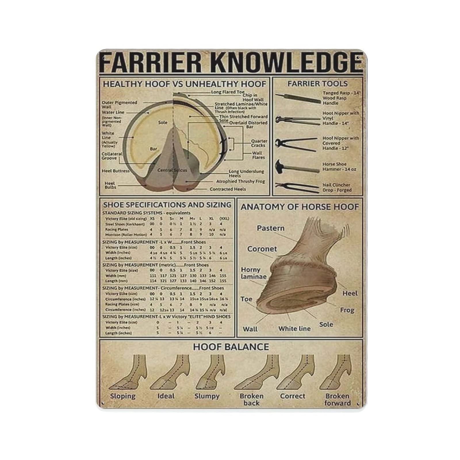 AOOEDM Farrier Knowledge Vintage Tin Sign Metal Tin Signs for Man Cave Funny Art Wall Plaque Kitchen Bar Pub Coffee Shop Wall Decor