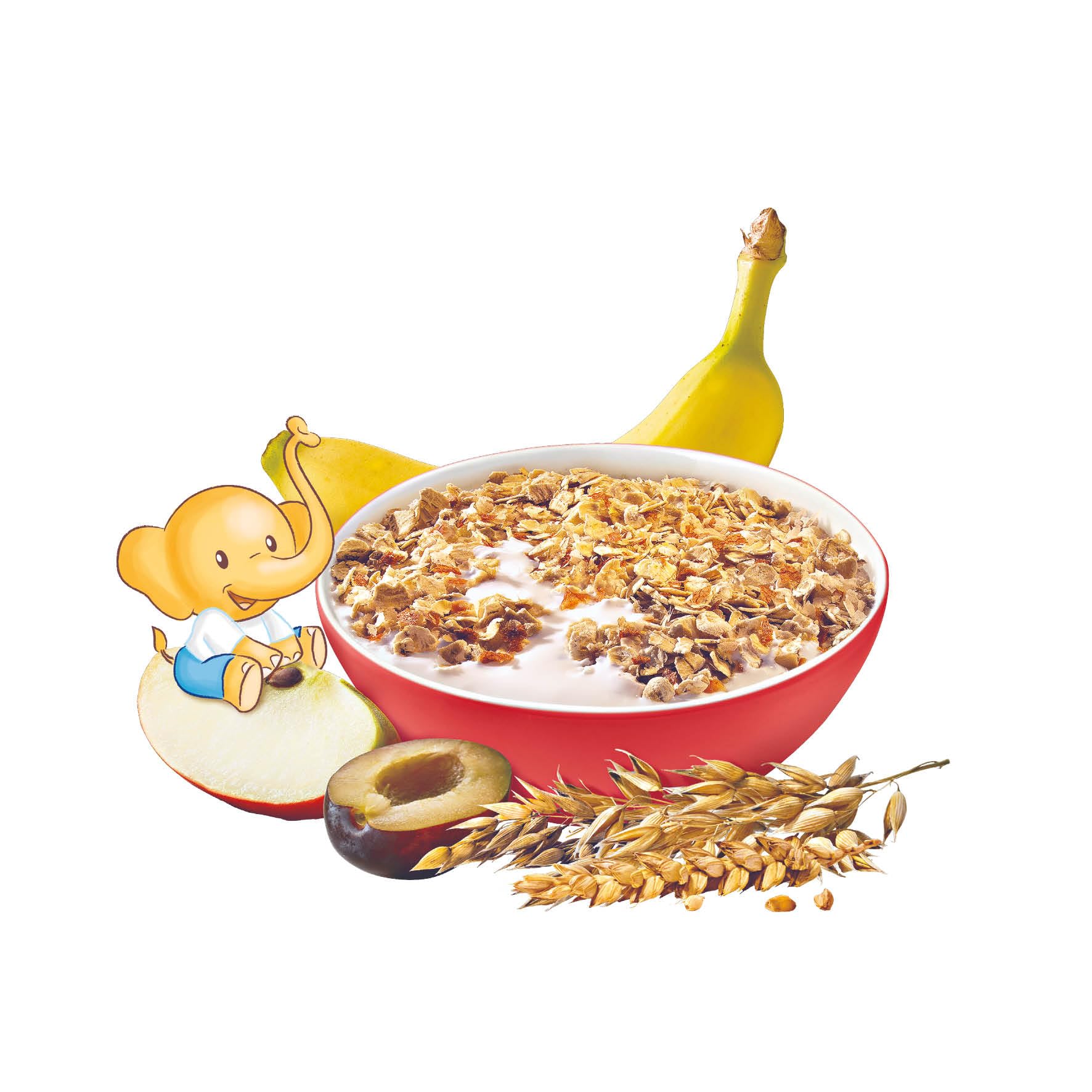 HiPP Biológico - Mi Primer Desayuno - Muesli de Frutas BIO - A Base de Cereales Integrales - Sin Azúcares Añadidos - Indicado para bebés desde los 10 meses - Pack 6X200g
