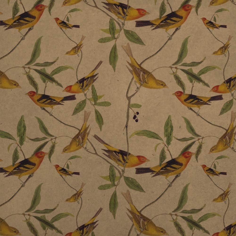 GRAPHICS & MORE Yellow Song Birds Pattern Premium Kraft Roll Gift Wrap Wrapping Paper