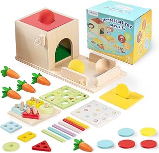 Frogprin 5-in-1 Wooden Play Kit Montessori Toy for 1 2 3 Year Old, Object Permanence Box, Coin Box, Carrot Harvest, Matchstick Drop, Shape Sorter Toddler Learning Toy for Girl Boy Gift Baby 6-12months