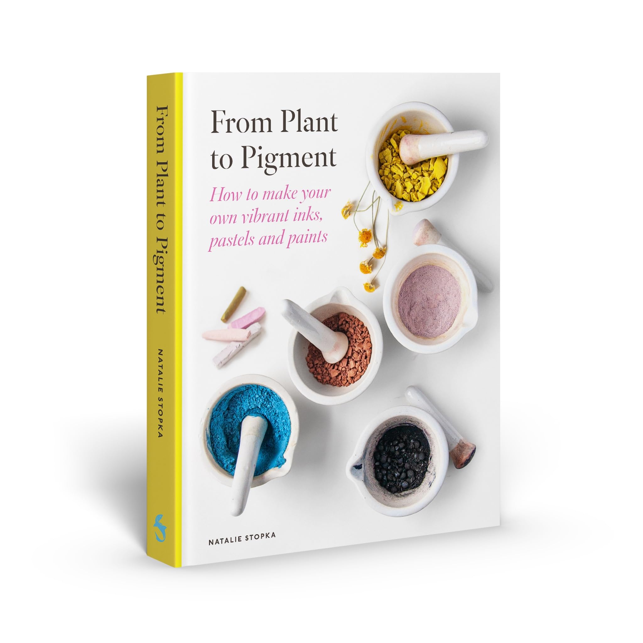 From Plant to Pigment by Natalie Stopka HARDBACK 9781837760671