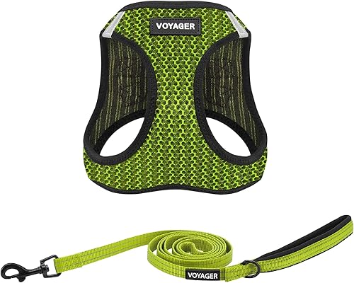 Best Pet Supplies - Conjunto de arnés Step-in Air para cualquier clima y correa reflectante de 5 pies con mango de neopreno Voyager, para perros